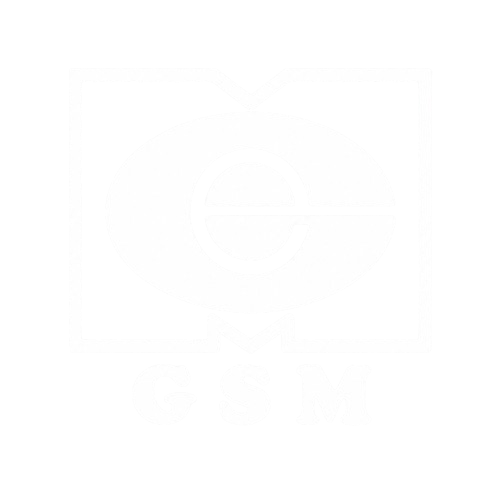GSM logo transparent