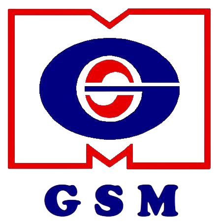 GSM logo transparent